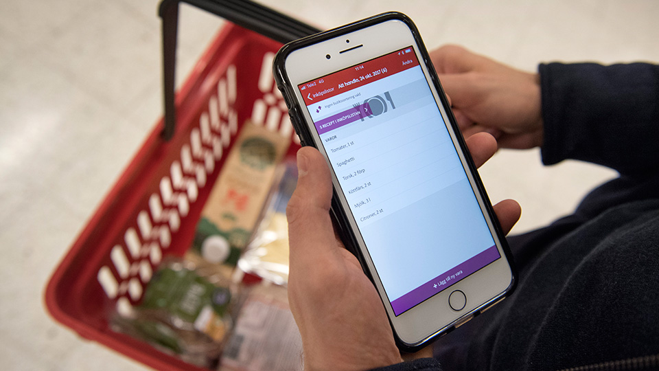Ökat intresse för e-handlade dagligvaror i november